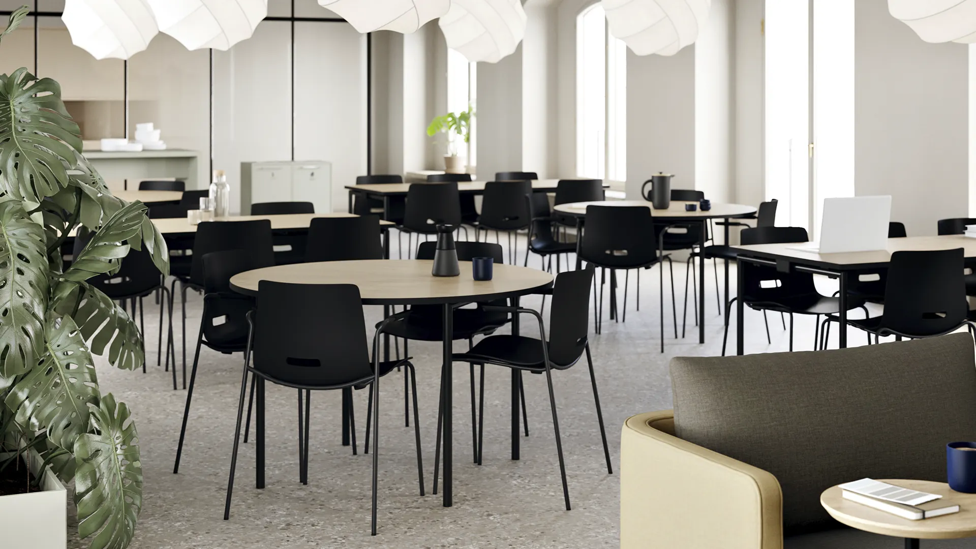 Novus Chair_Canteen Setup_Header